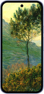 Силіконовий чехол Клод Моне для Google Pixel 9A - 1193u-3899 изображение 