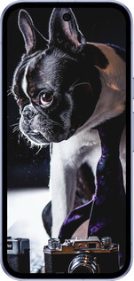 Силиконовый чехол Бульдог-фотограф для Google Pixel 9A - 142u-3899 изображение 