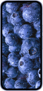 Силиконовый чехол Голубика для Google Pixel 9A - 4459u-3899 изображение 