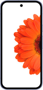 Силиконовый чехол Гербера 1 для Google Pixel 9A - 4534u-3899 изображение 