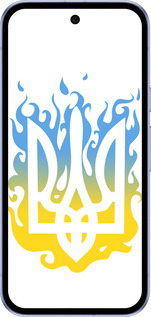 Силиконовый чехол Герб v1 для Google Pixel 9A - 5258u-3899 изображение 