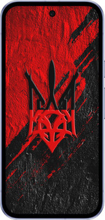 Силиконовый чехол Герб v4 для Google Pixel 9A - 5293u-3899 изображение 