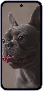 Силіконовий чехол Милий бульдог для Google Pixel 9A - 5546u-3899 изображение 