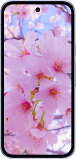 Силиконовый чехол Сакура для Google Pixel 9A - 6029u-3899 изображение 