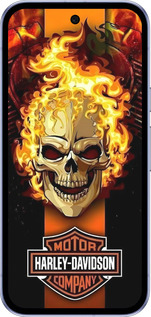 Силіконовий чехол Харлей девидсон для Google Pixel 9A - 6370u-3899 изображение 