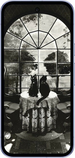 Силиконовый чехол Череп и коты для Google Pixel 9A - 6432u-3899 изображение 