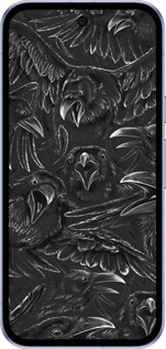 Силиконовый чехол Воронья ярость для Google Pixel 9A - 6474u-3899 изображение 