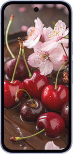 Силиконовый чехол Вишня в шоколаде для Google Pixel 9A - 6698u-3899 изображение 