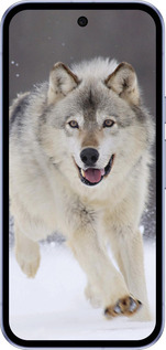 Силиконовый чехол Бегущий волк для Google Pixel 9A - 826u-3899 изображение 