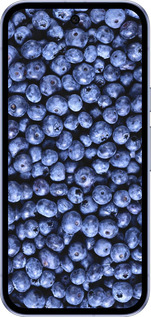 Силиконовый чехол Черника для Google Pixel 9A - 851u-3899 изображение 