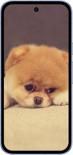 Силиконовый чехол Boo 2 для Google Pixel 9A - 890u-3899 изображение 