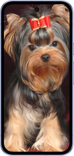 Силиконовый чехол Йоркширский терьер для Google Pixel 9A - 929u-3899 изображение 