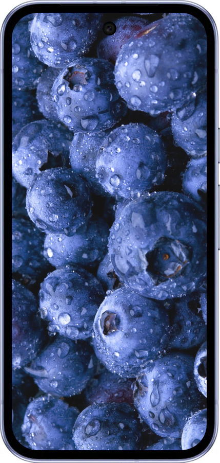 Силиконовый чехол Голубика для Google Pixel 9A - 4459u-3899 изображение 