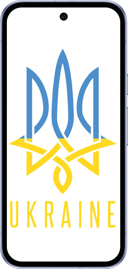 Силиконовый чехол Герб v2 для Google Pixel 9A - 5259u-3899 изображение 