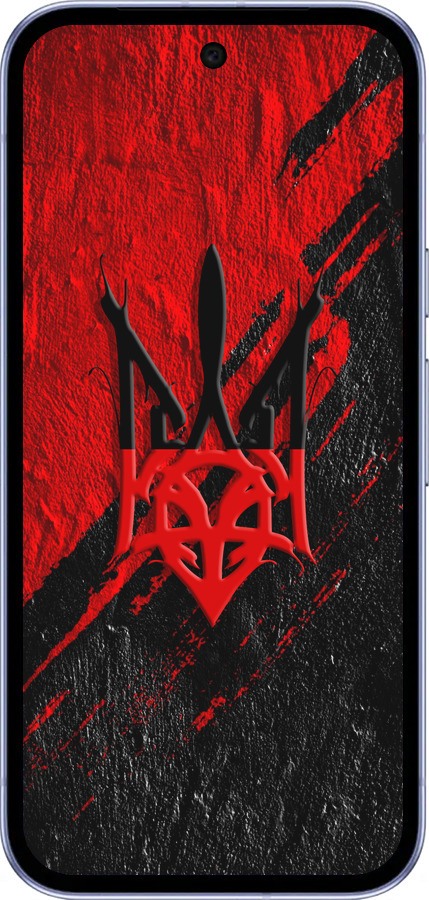 Силиконовый чехол Герб v4 для Google Pixel 9A - 5293u-3899 изображение 