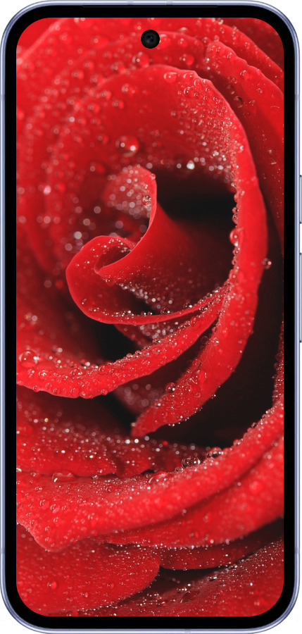 Силиконовый чехол Красная роза для Google Pixel 9A - 529u-3899 изображение 