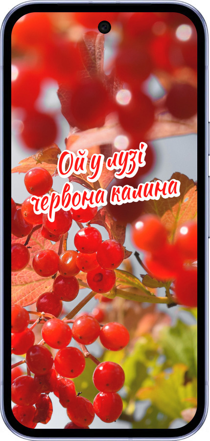 Силиконовый чехол Калина для Google Pixel 9A - 5454u-3899 изображение 