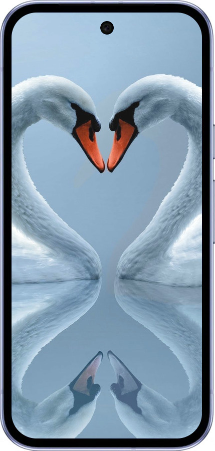 Силиконовый чехол Лебеди для Google Pixel 9A - 6007u-3899 изображение 