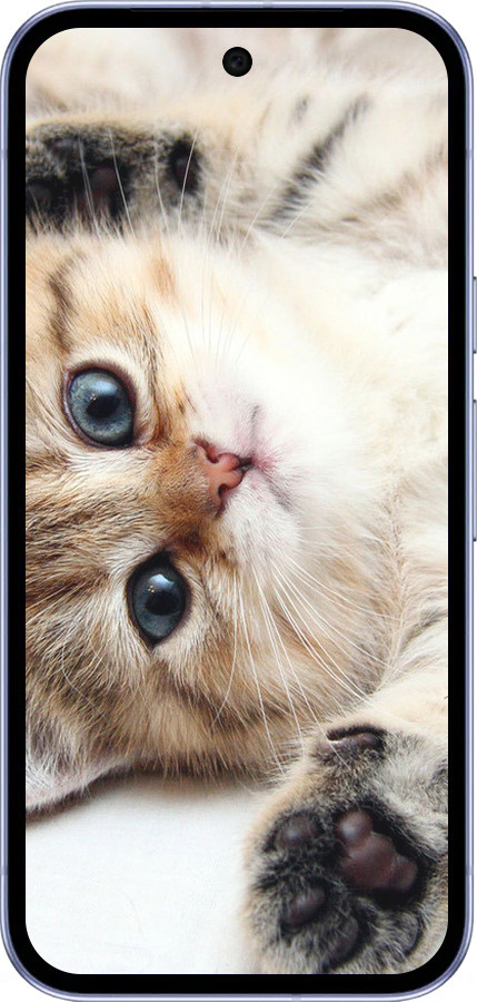 Силіконовий чехол Котик для Google Pixel 9A - 6024u-3899 изображение 