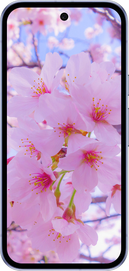 Силиконовый чехол Сакура для Google Pixel 9A - 6029u-3899 изображение 