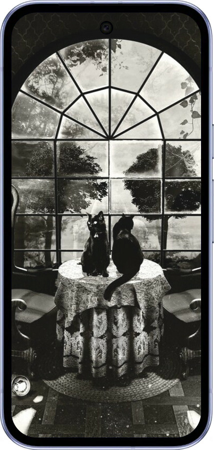 Силиконовый чехол Череп и коты для Google Pixel 9A - 6432u-3899 изображение 