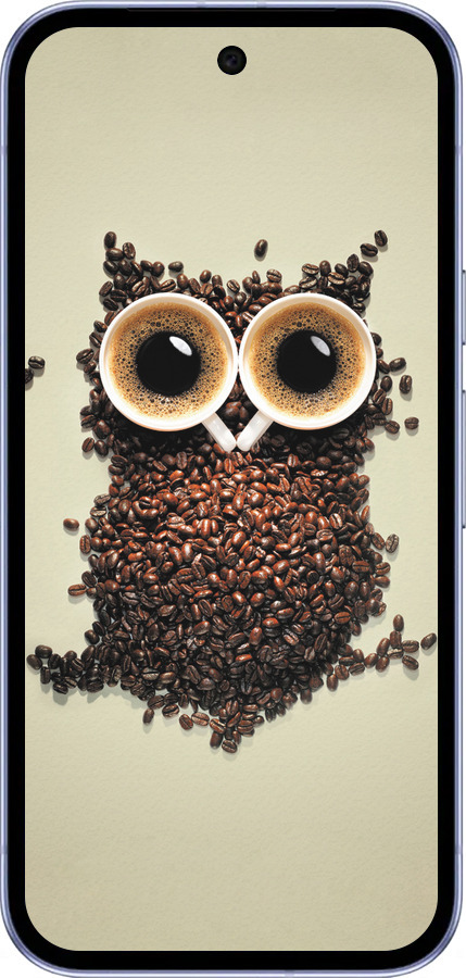 Силиконовый чехол Сова из кофе для Google Pixel 9A - 777u-3899 изображение 