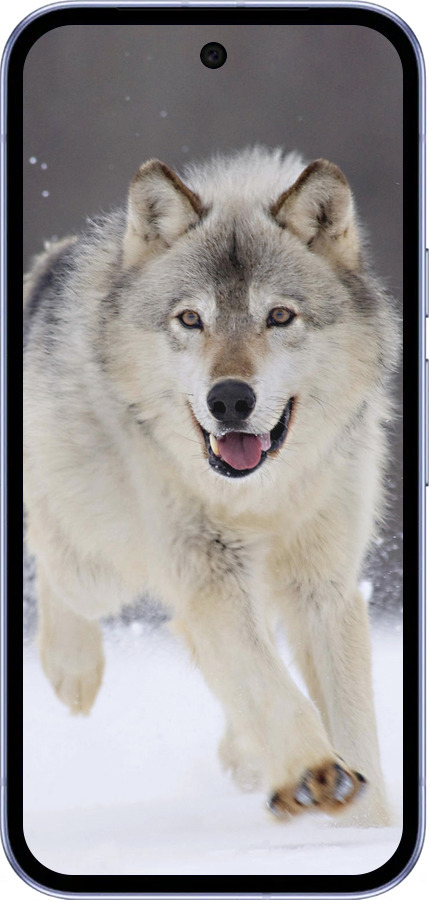 Силиконовый чехол Бегущий волк для Google Pixel 9A - 826u-3899 изображение 