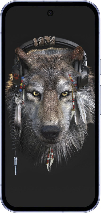 Силиконовый чехол Волк-меломан для Google Pixel 9A - 875u-3899 изображение 