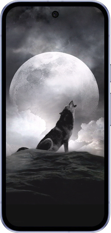 Силиконовый чехол Воющий волк для Google Pixel 9A - 934u-3899 изображение 