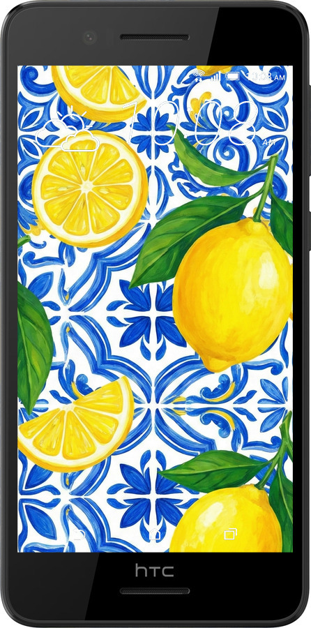 Силіконовий чехол Grocery Girl Italian Summer для HTC Desire 728G - 6766u-145 изображение 