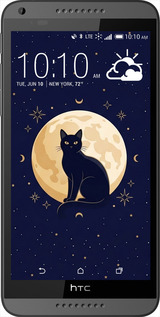 Силиконовый чехол Cute Cat Celestial/Witchy для HTC Desire 816 - 6787u-169 изображение 