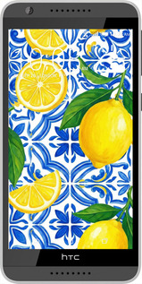 Силіконовий чехол Grocery Girl Italian Summer для HTC Desire 820 - 6766u-133 изображение 