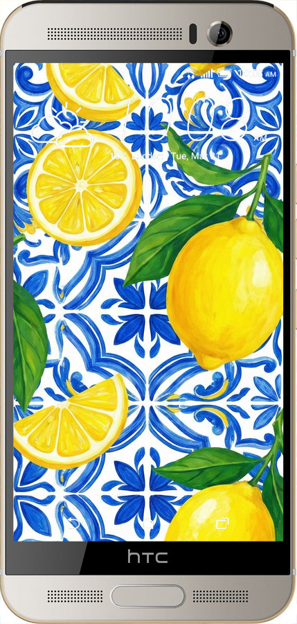 Силиконовый чехол Grocery Girl Italian Summer для HTC One M9 Plus - 6766u-134 изображение 