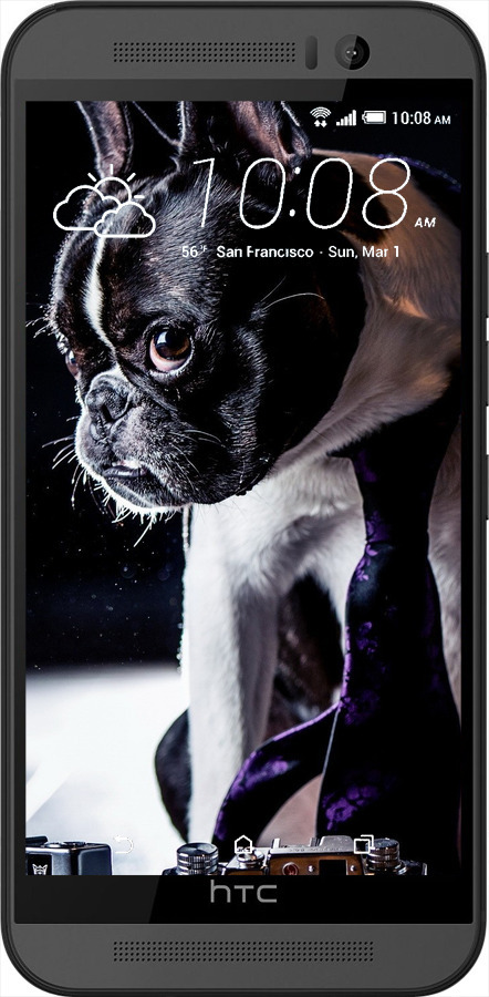 Силіконовий чехол Бульдог-фотограф для HTC One M9 - 142u-129 изображение 