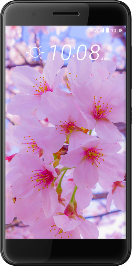 Силіконовий чехол Сакура для HTC One X10 - 6029u-995 изображение 