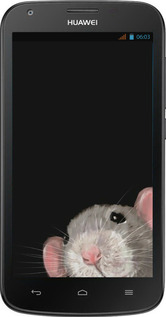Силіконовий чехол The Peeking Rat для Huawei Ascend Y600 - 6442u-486 изображение 
