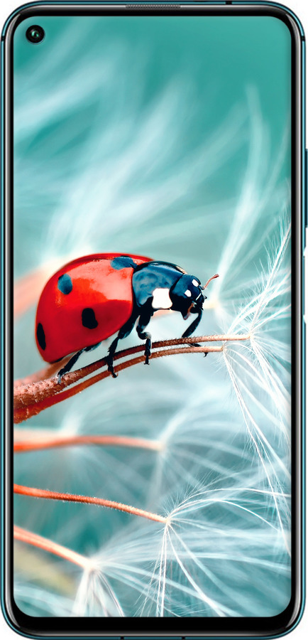 TPU чехол Божья коровка для Huawei Honor 20 Pro - 6049b-1702 изображение 