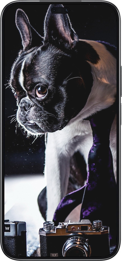TPU чехол Бульдог-фотограф для Huawei Honor 200 Lite - 142b-3728 изображение 