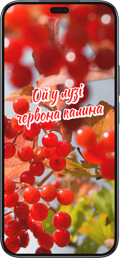 TPU чехол Калина для Huawei Honor 200 Lite - 5454b-3728 изображение 