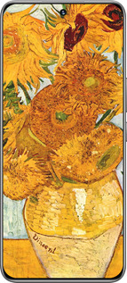 TPU чехол Винсент Ван Гог. Подсолнухи для Huawei Honor 200 - 162b-3731 изображение 