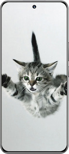 TPU чехол Літаюче кошеня для Huawei Honor 200 - 2322b-3731 изображение 