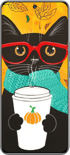 TPU чехол Осенний кот для Huawei Honor 200 - 4026b-3731 изображение 