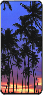TPU чехол Пальмы для Huawei Honor 200 - 4324b-3731 изображение 