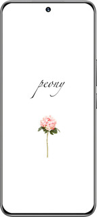 TPU чехол Пион для Huawei Honor 200 - 4366b-3731 изображение 