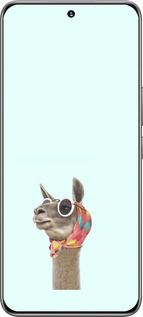 TPU чехол Модная лама для Huawei Honor 200 - 4479b-3731 изображение 