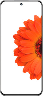 TPU чехол Гербера 1 для Huawei Honor 200 - 4534b-3731 изображение 