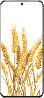 TPU чехол Колоски пшеници для Huawei Honor 200 - 5866b-3731 изображение 
