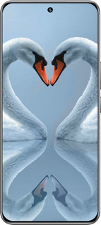 TPU чехол Лебеди для Huawei Honor 200 - 6007b-3731 изображение 