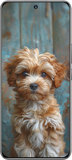TPU чехол Щенок мальтипу для Huawei Honor 200 - 6157b-3731 изображение 