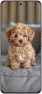 TPU чехол Mini-maltipoo для Huawei Honor 200 - 6158b-3731 изображение 